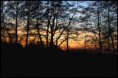 /album/landscape/img-8705-jpg/