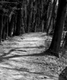 /album/landscape/img-9762-jpg/