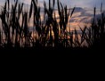 /album/landscape/img-1052-jpg/
